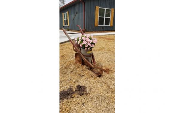 Graceful Care - Barn House flowers