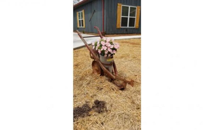 Graceful Care - Barn House flowers